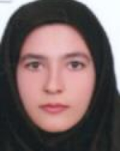 هاجر حائم 