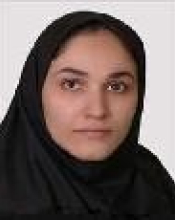 Marzyeh Javadi