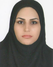 Marzieh Sohrabi (Supervisor)
