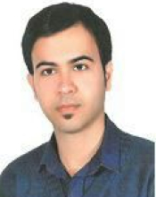 Behnam Tavakoli(Supervisor)