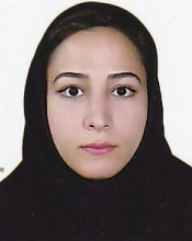 Fariba nouri(Supervisor)