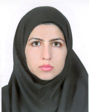 Mahboubeh Shams (M. Sc.)