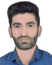 Farid Mahmoudian
