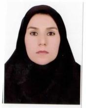 Fatemeh Jafari