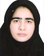 Mojdeh Safaei