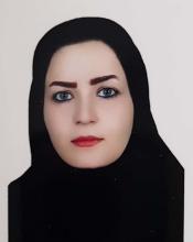 Seyede Fatemeh Mousavi
