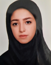 Parisa Mehmandoust