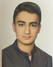 Farzad Erfani
