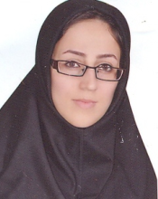 Farzaneh Dehnavi (2013 Fall)
