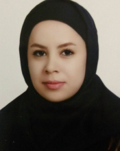 Barjan Yousefi (Graduated 2016)