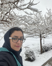 Bahareh Daneshmand
