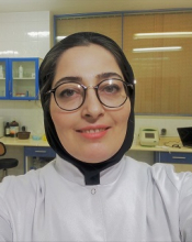 Somayeh Mahmoudian 