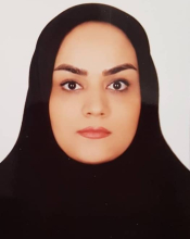 Somayeh Gholamnejad (PhD)