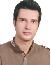 Hamed Heydari
