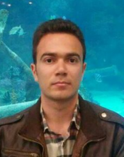 Amin Alipour