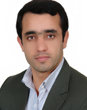 M.T. Behnamfar (2007)