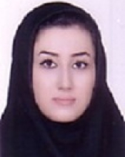 H. Mosalaei (2022)