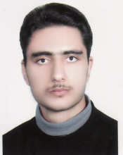 F. Hajareh Haghighi (2018)         
