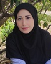 H. Behzadi ( MSc Student)