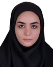 M.S. Hosseini (2020)