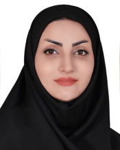 N. Ghadiri (MSc Student)