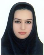N. Jarah (2013) 