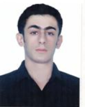 M. Kaykhosravi (2013) 