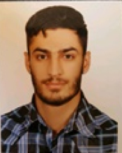 M. Mohammadi (2018)