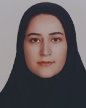 M. Hamedi (MSc Student)