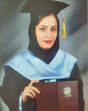 N. Mousavi (2017)