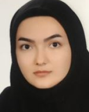 N. Dadkhah (2022)