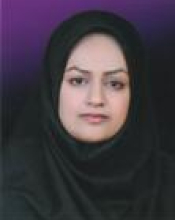 M. Rasouli (2007)