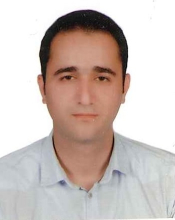 R. Boroumand (2019)