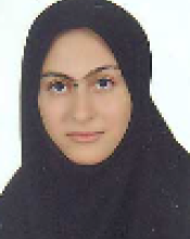 M. Shokrolahi  (2016)