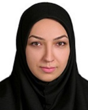 M.Savadkouhi (PhD Student)