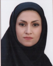 T. Sarvari (Ph.D Student)
