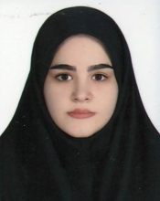 Z. Sharifi (MSc Student)