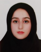 F. Ziaei (2024)