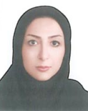 Negin Mohammadzadeh