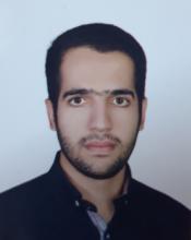M. Haji Heydari