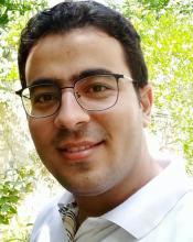 Ramin Torkan