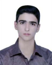 J. Mirjalili