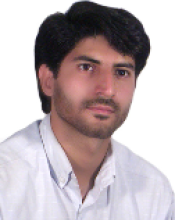 Golmohammadi.M.Hosein