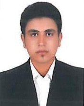 Ali Vasheghani-Farahani