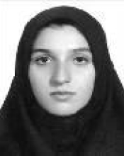 Niayesh S. Mousavi-Moein