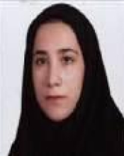 S. Noushin Banitaba