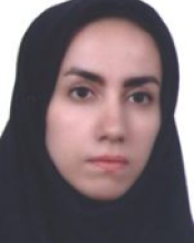ZS. Nourbakhsh