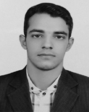 Seyed Ali Mirhosseini
