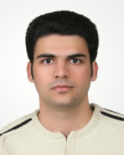  Meysam Tavakkolian