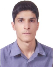 Mohammad Jannesari (Sept. 2014-Jan. 2017)